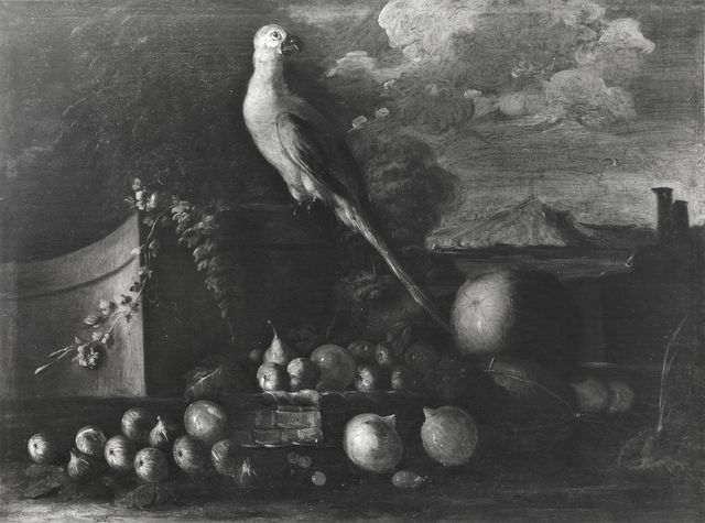 Foto Amoretti — Autore non indicato - sec. XVIII - Natura morta con frutta e pappagallo in un paesaggio — insieme